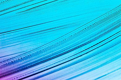 《星空》将有经典的Bethesda风格对话选项